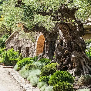 Domaine Les Mesanges Guest house Gassin